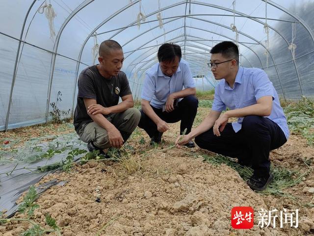 喂营养餐 淮安举行蔬菜抗逆栽培技术培训，变废为宝开发基质助蔬菜生长